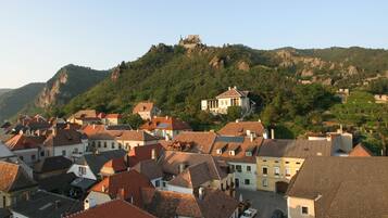 A town with historic buildings and a castle on a hill.