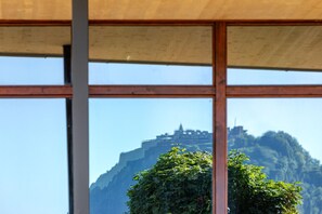 Vista desde la propiedad