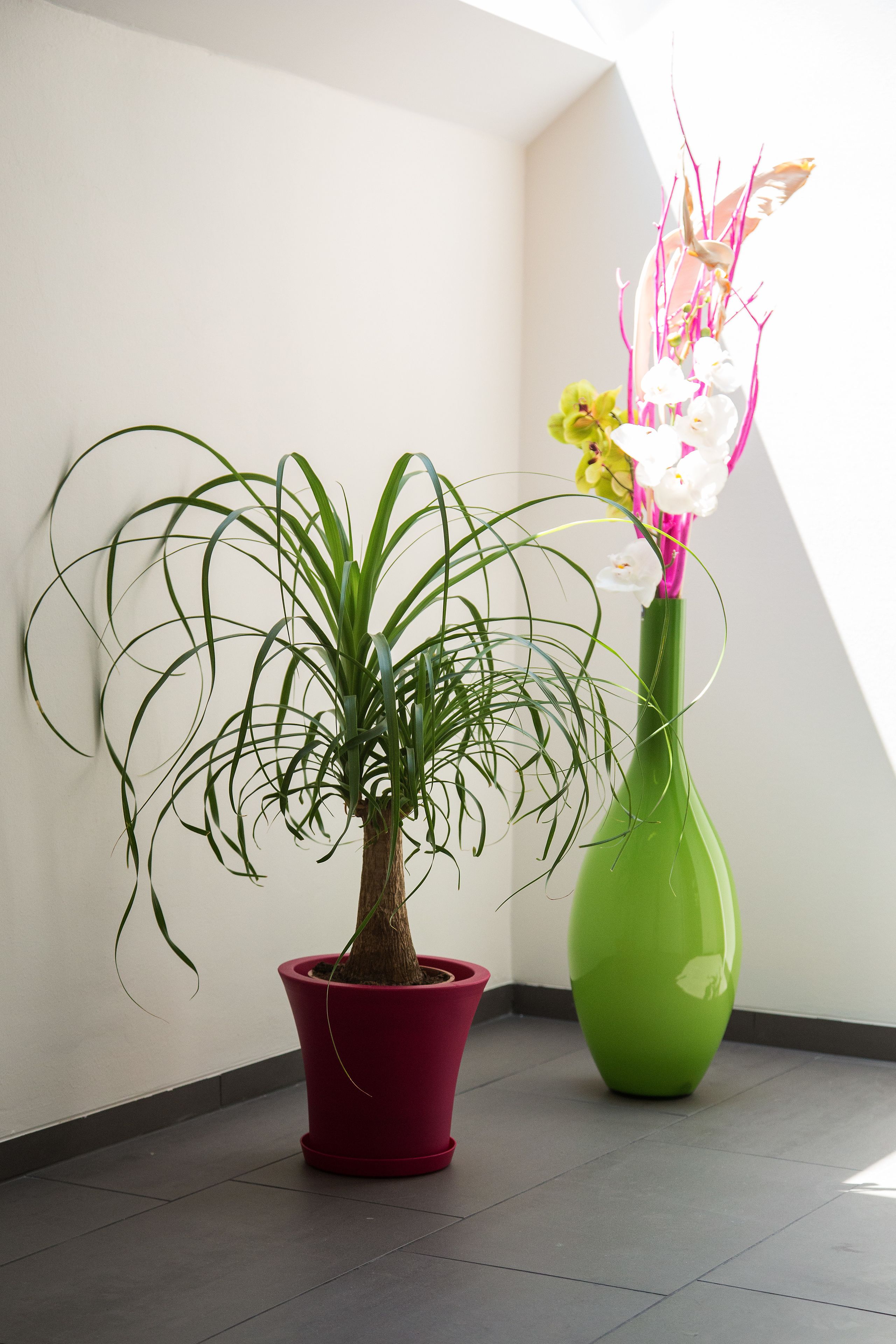 Foto - B&B Villa Verde