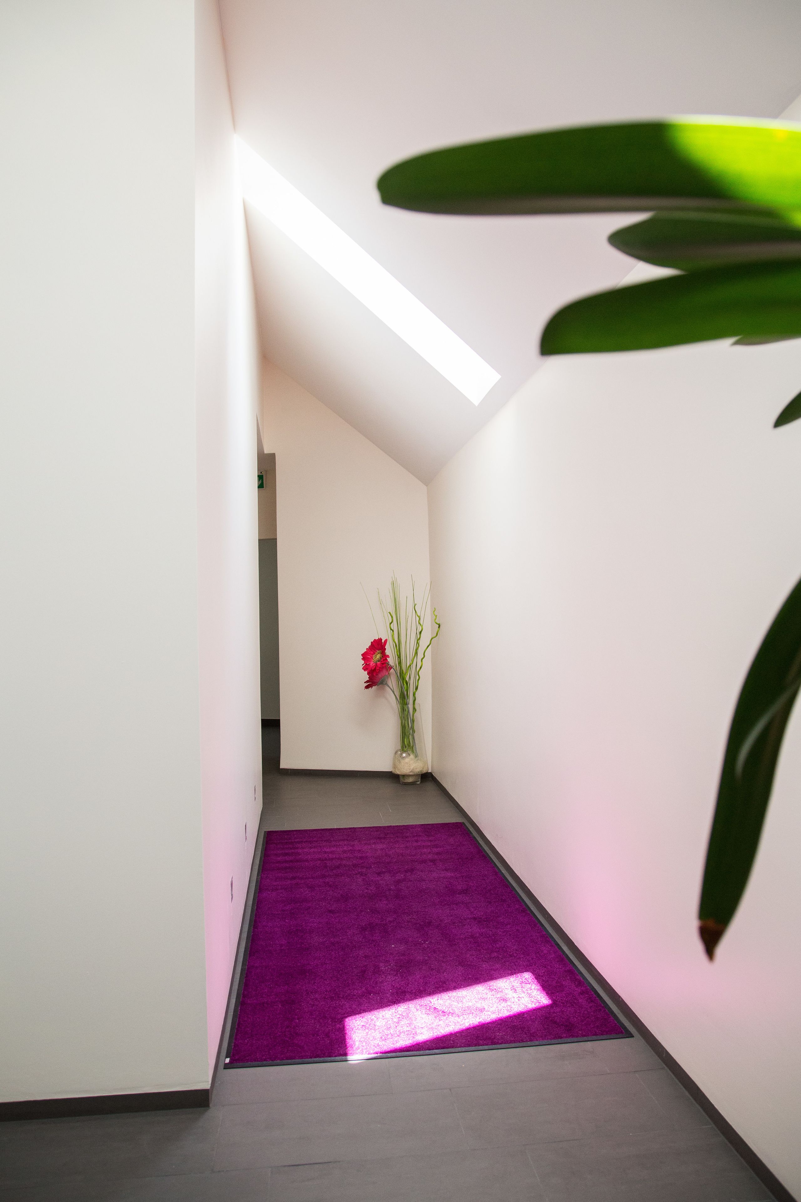 Foto - B&B Villa Verde