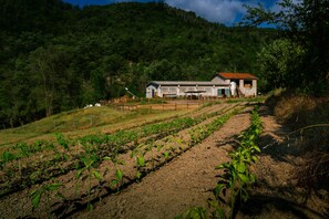 Rutas ecológicas