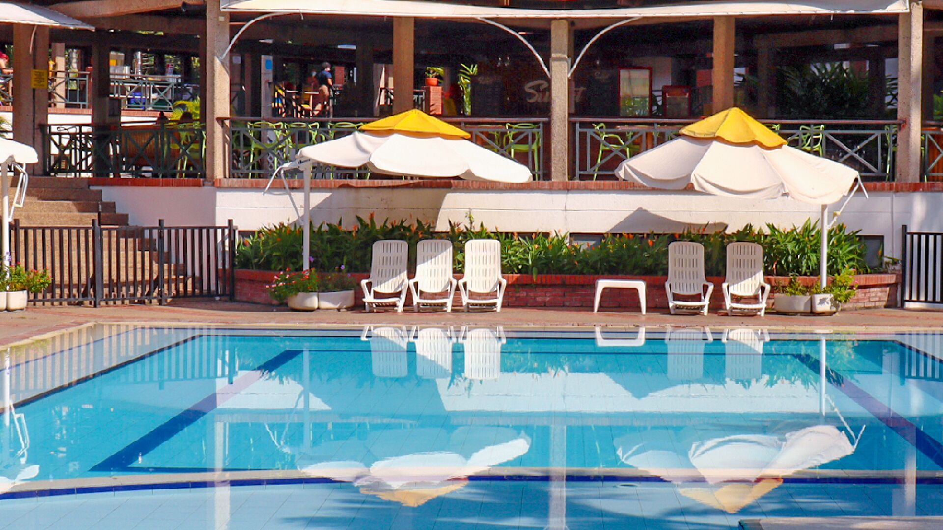Piscina con sillones de descanso y sombrillas, rodeada por una valla y plantas en macetas.
