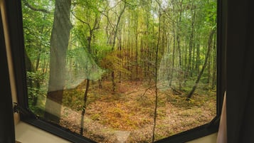 Blick in einen Wald durch ein Fenster, mit sichtbarem Fensterrahmen und einem teilweisen Blick auf eine Innenwand des Raumes.