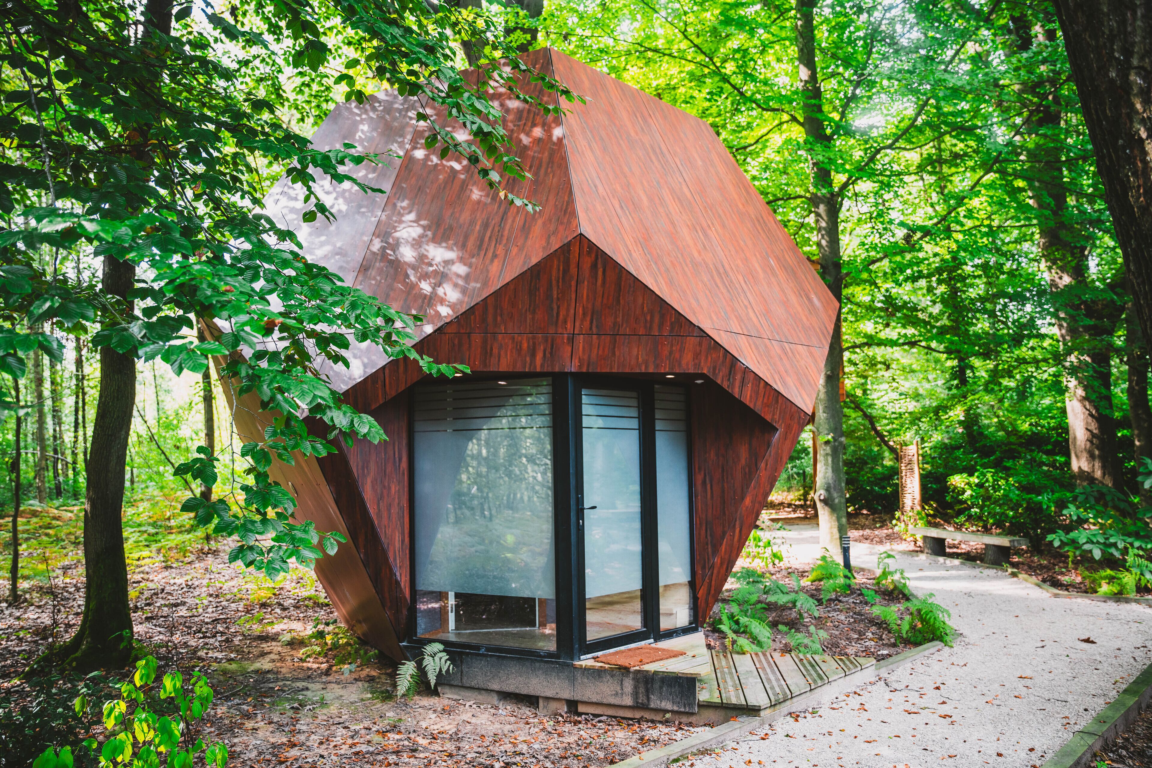 Comfort boomhut | Een kluis op de kamer, individueel gedecoreerd, individueel gemeubileerd