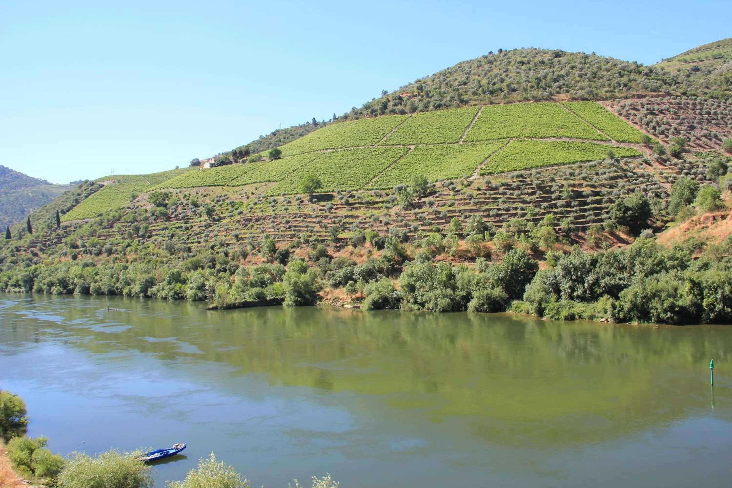 A river with a boat, surrounded by terraced vineyards and hills.