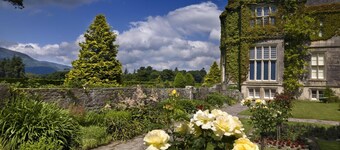 Ardree House Bed & Breakfast