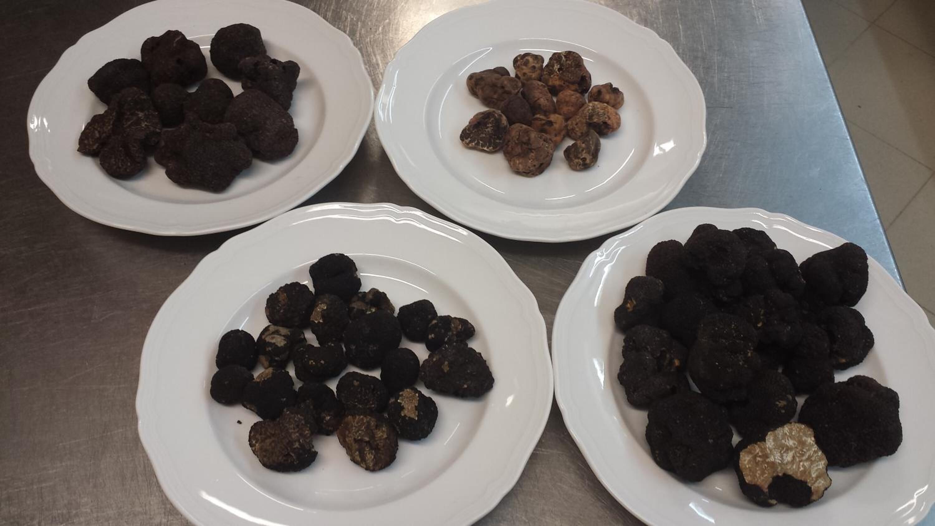 Quatro pratos brancos com diferentes tipos de comida sobre uma mesa de aço inoxidável.
