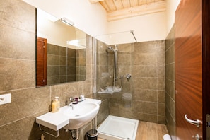 Habitación Deluxe con 1 cama matrimonial o 2 individuales, baño en la habitación | Baño | Regadera, amenidades de baño gratuitas, secadora de cabello, bidet 