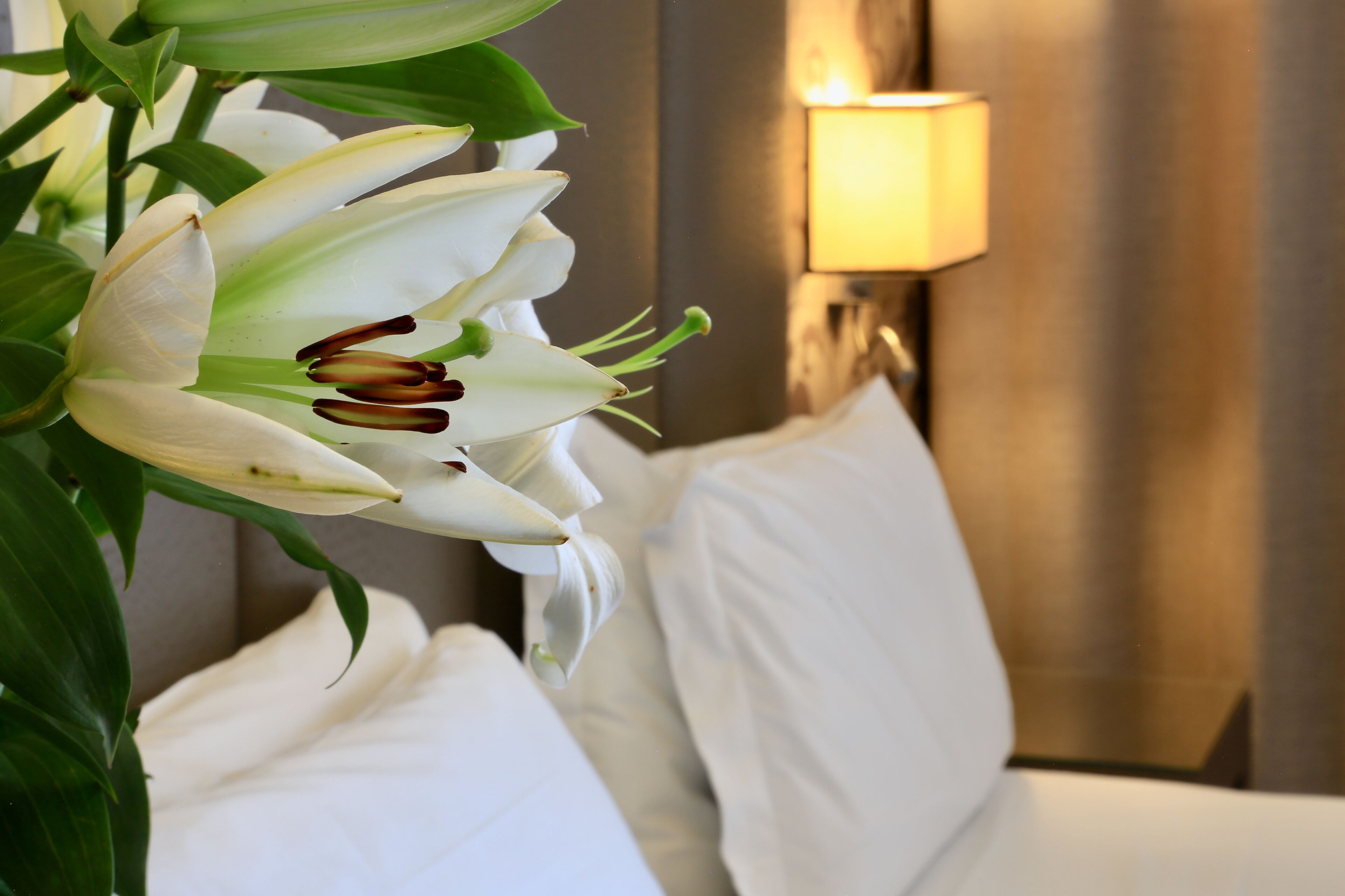 A white flower arrangement in a hotel room with a lamp and a bed.