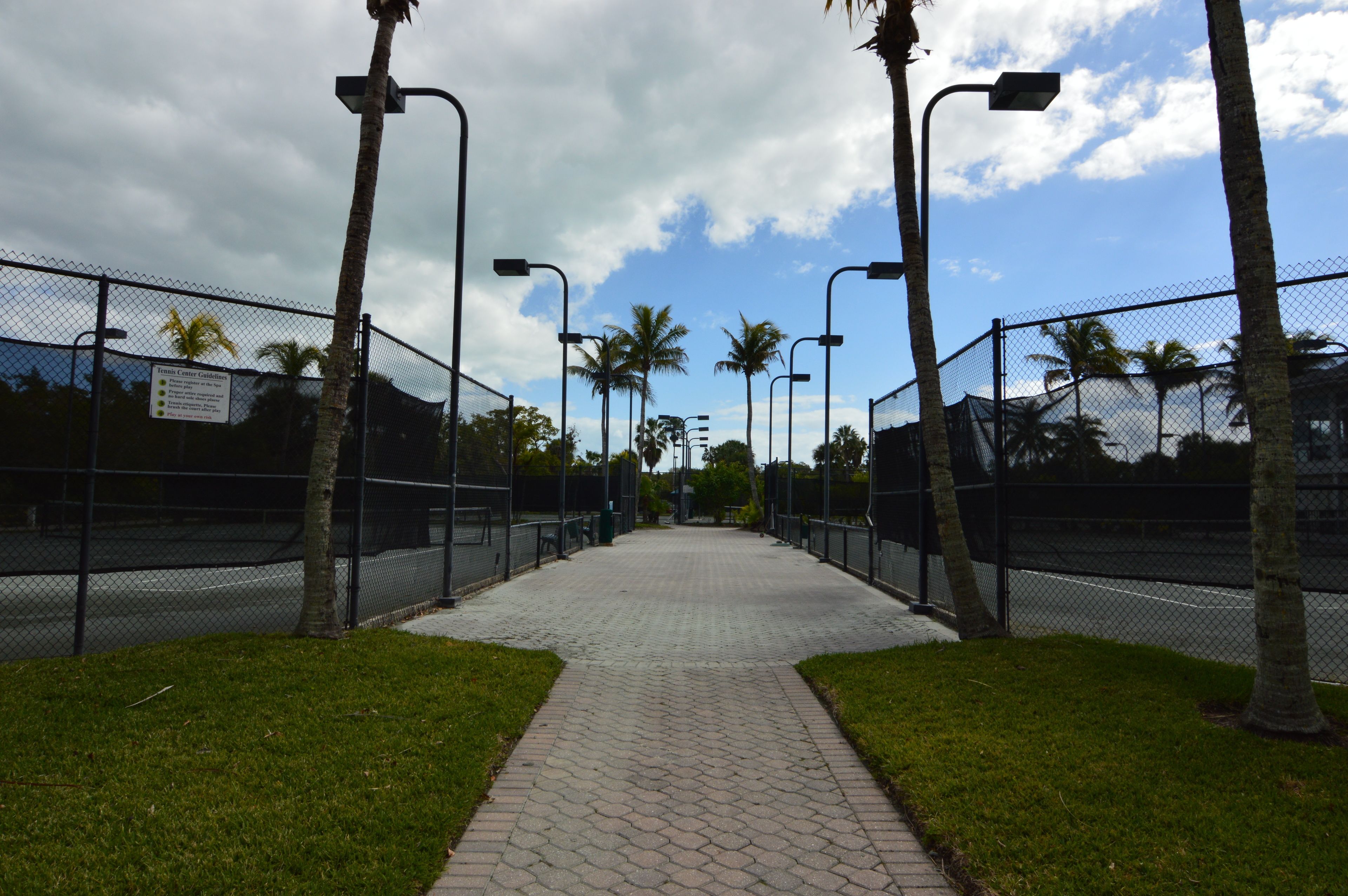 A paved pathway flanked by palm trees and a chain-link fence, leading to a road.