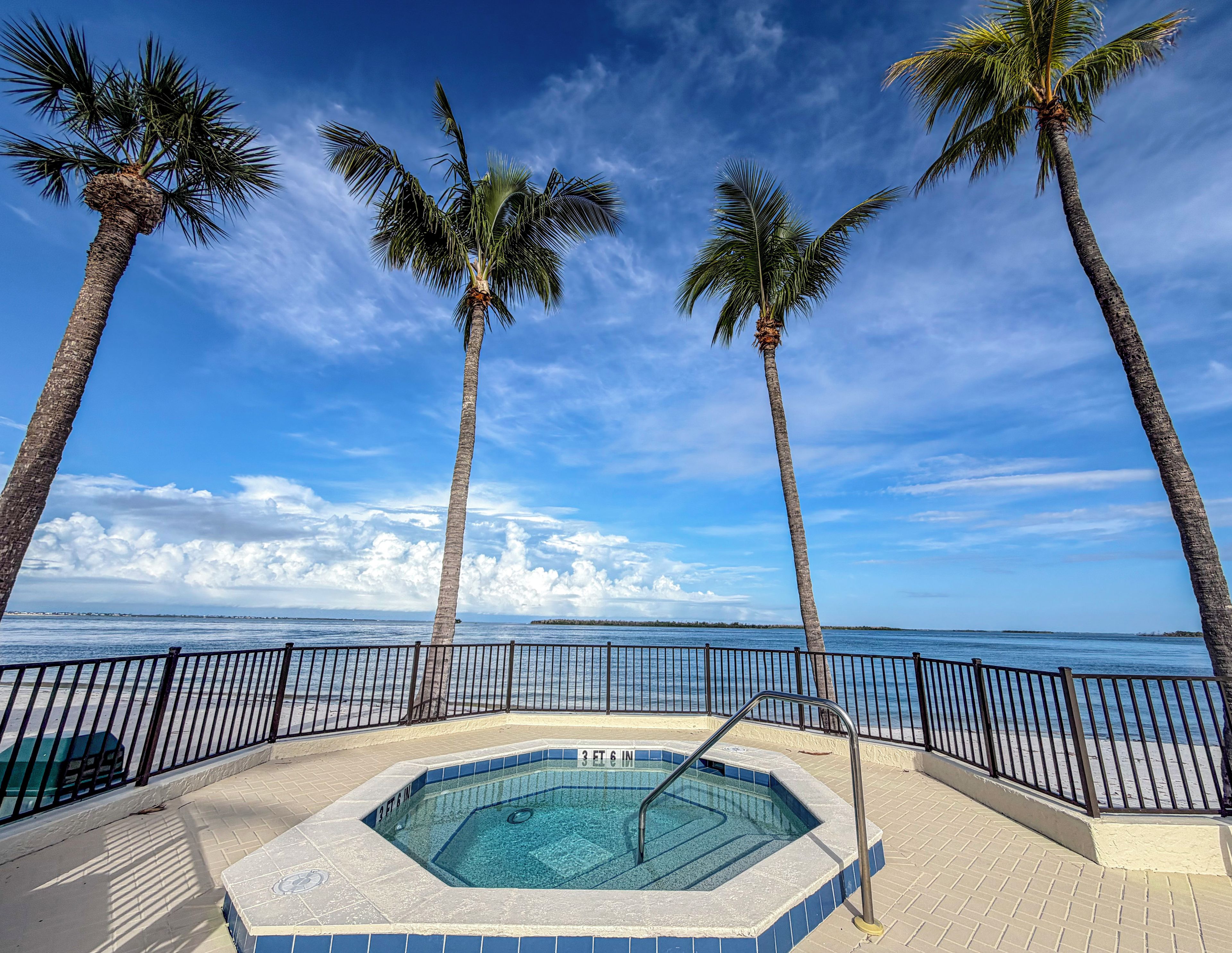 A swimming pool with a view of the ocean, surrounded by palm trees and a clear sky.