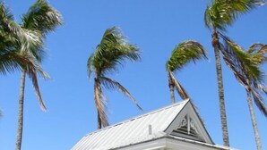 A beachside cafe named "Cove" with outdoor seating and a view of the ocean. - Resort Harbour Properties (Fort Myers)