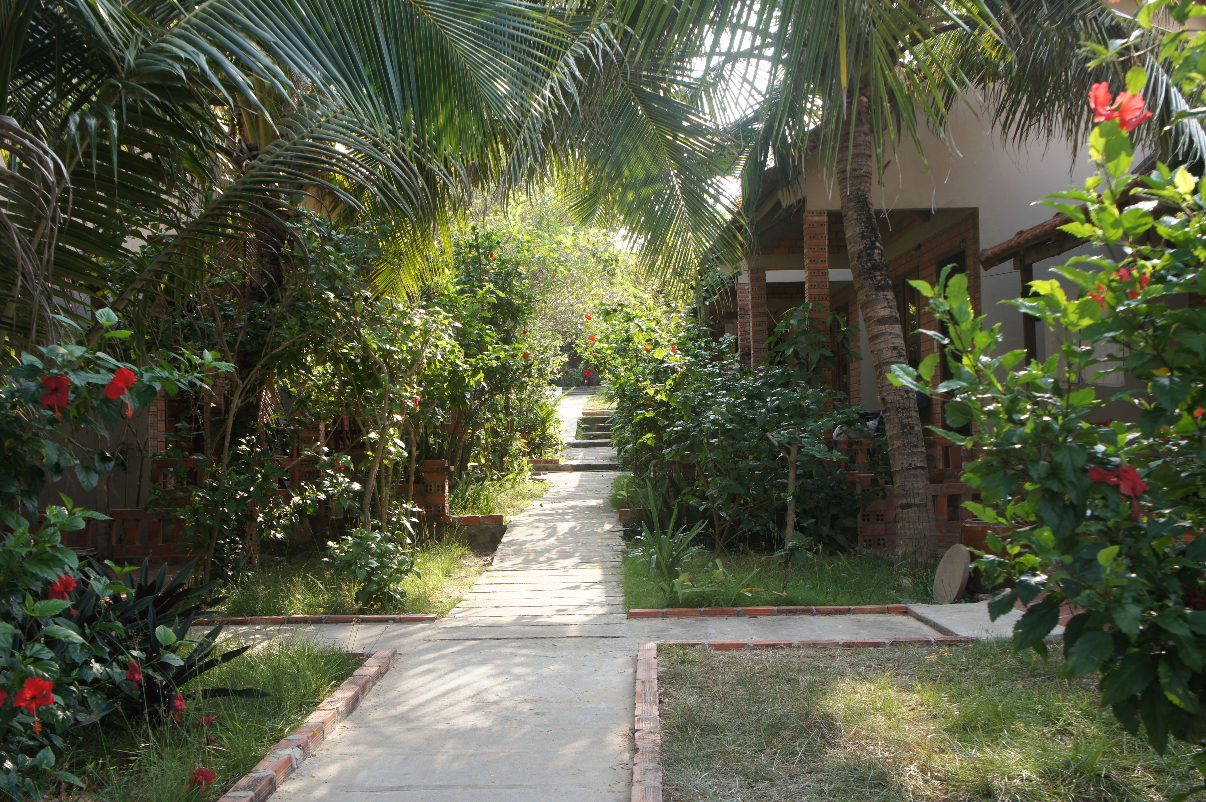 A pathway flanked by lush greenery and palm trees, leading to a building with a brick facade.