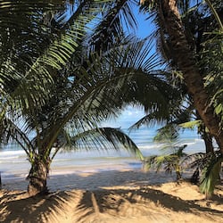 Vista frontal de la propiedad