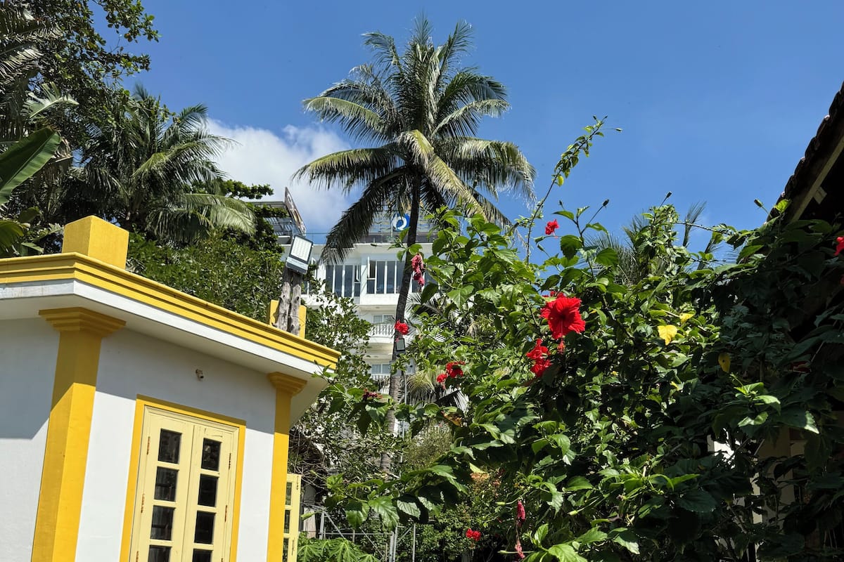A pathway leading to a yellow building with a window, surrounded by lush greenery and a palm tree.