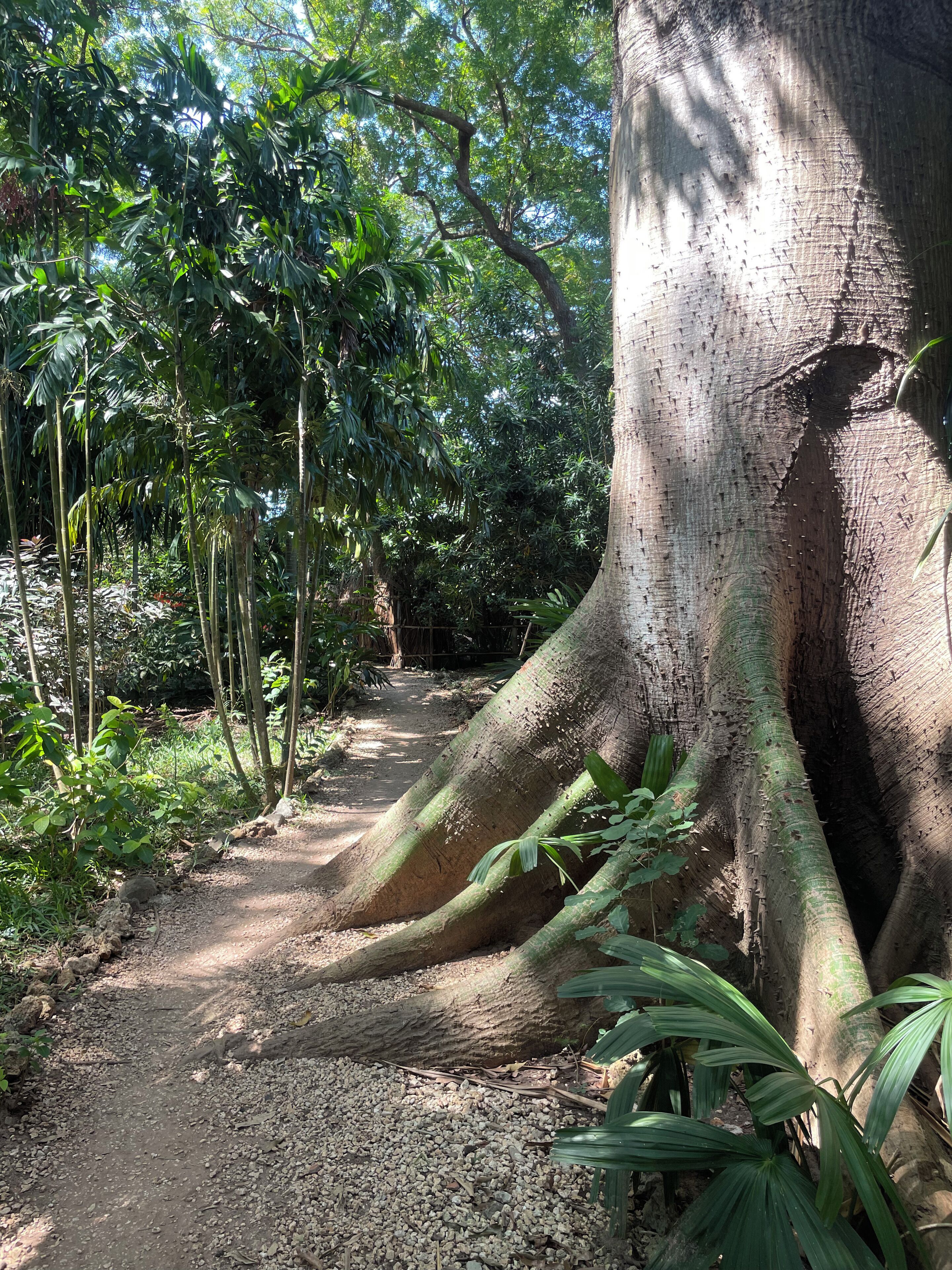 Foto - Mbweni Ruins & Gardens Previously Jungle Paradise