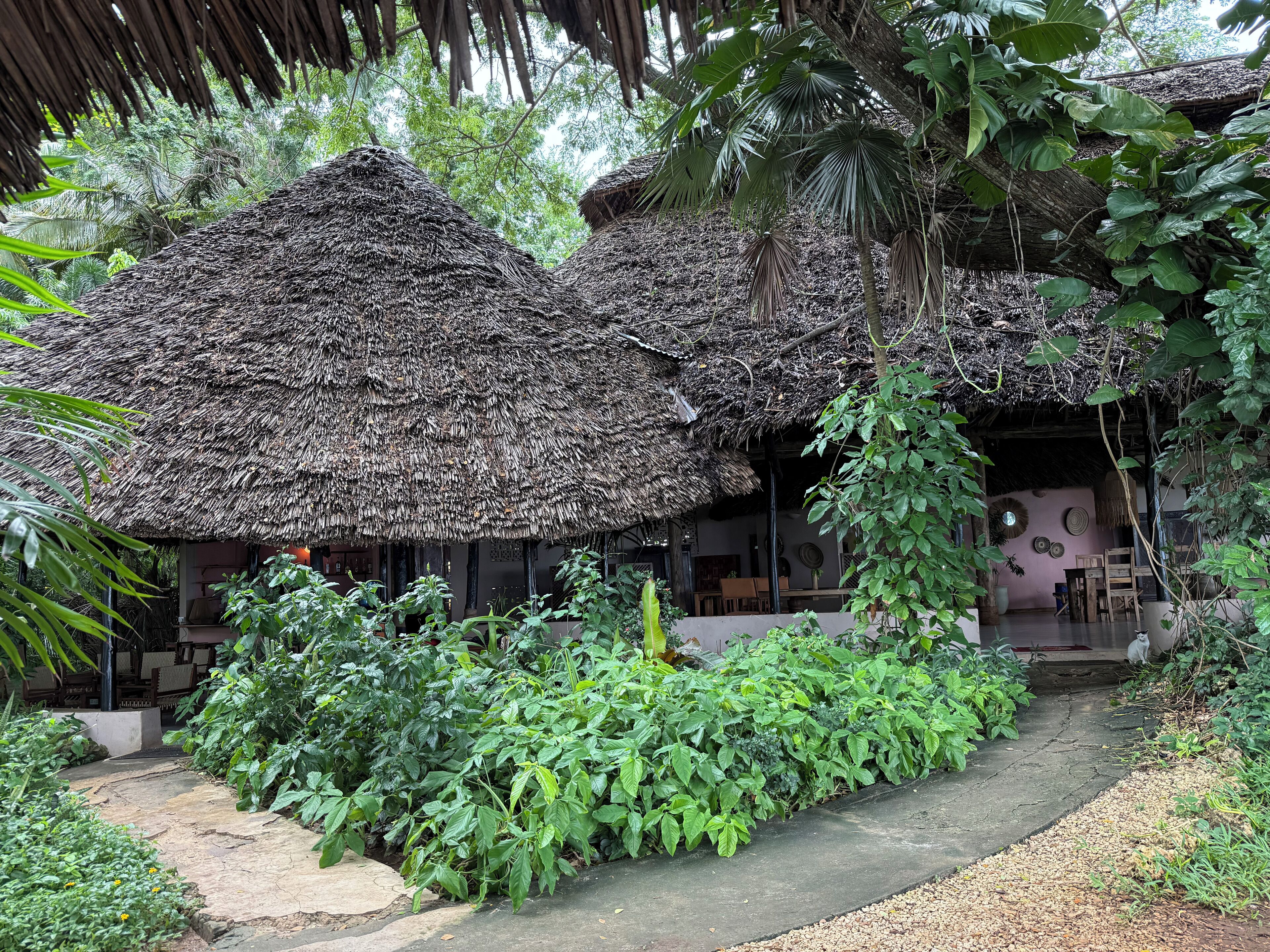 breakfast, lunch, dinner served; international cuisine, sea views