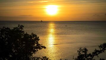 Ubicación a pie de playa, tumbonas, sombrillas y toallas de playa