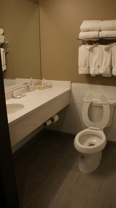 Canad Inns Destination Centre Windsor Park - Image 43
