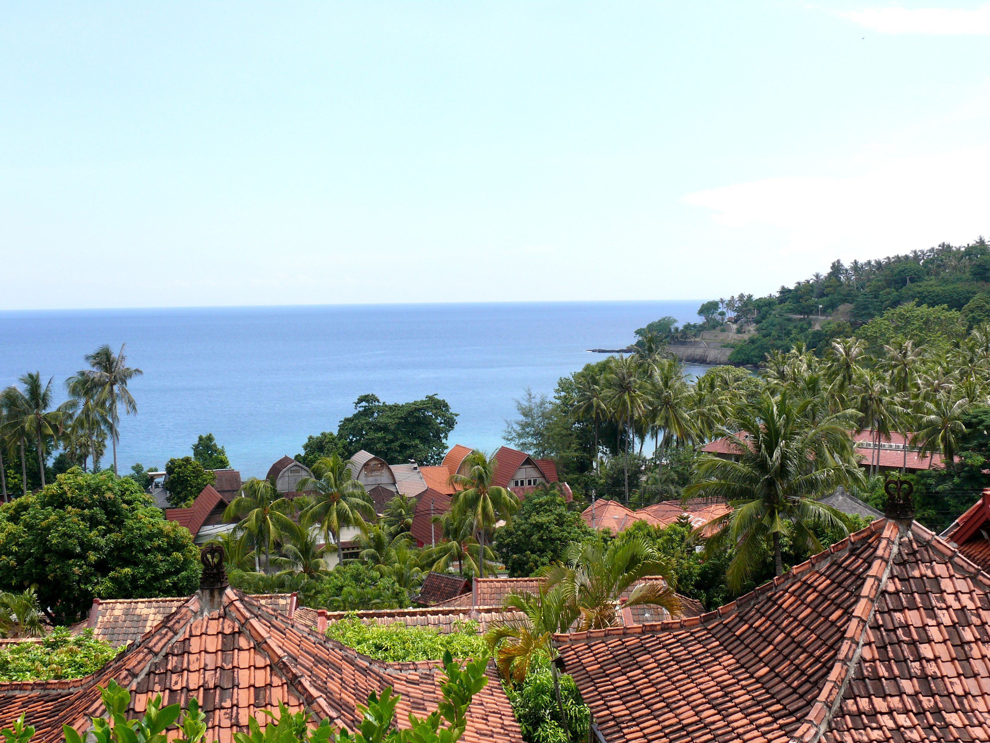 A coastal village with terracotta-roofed houses, palm trees, and a view of the sea.