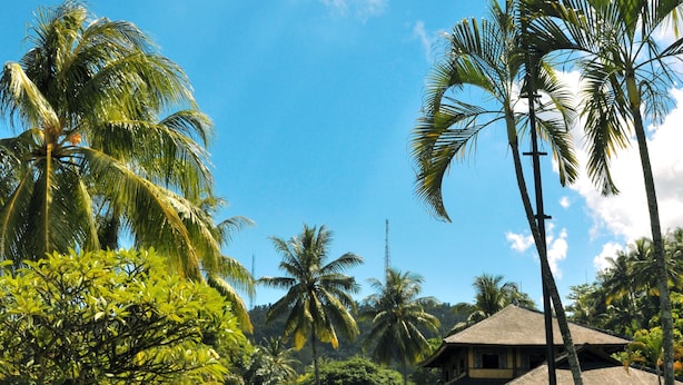 A pool area with lounge chairs, a small pavilion, and palm trees. - Puri Bunga Senggigi (Senggigi)