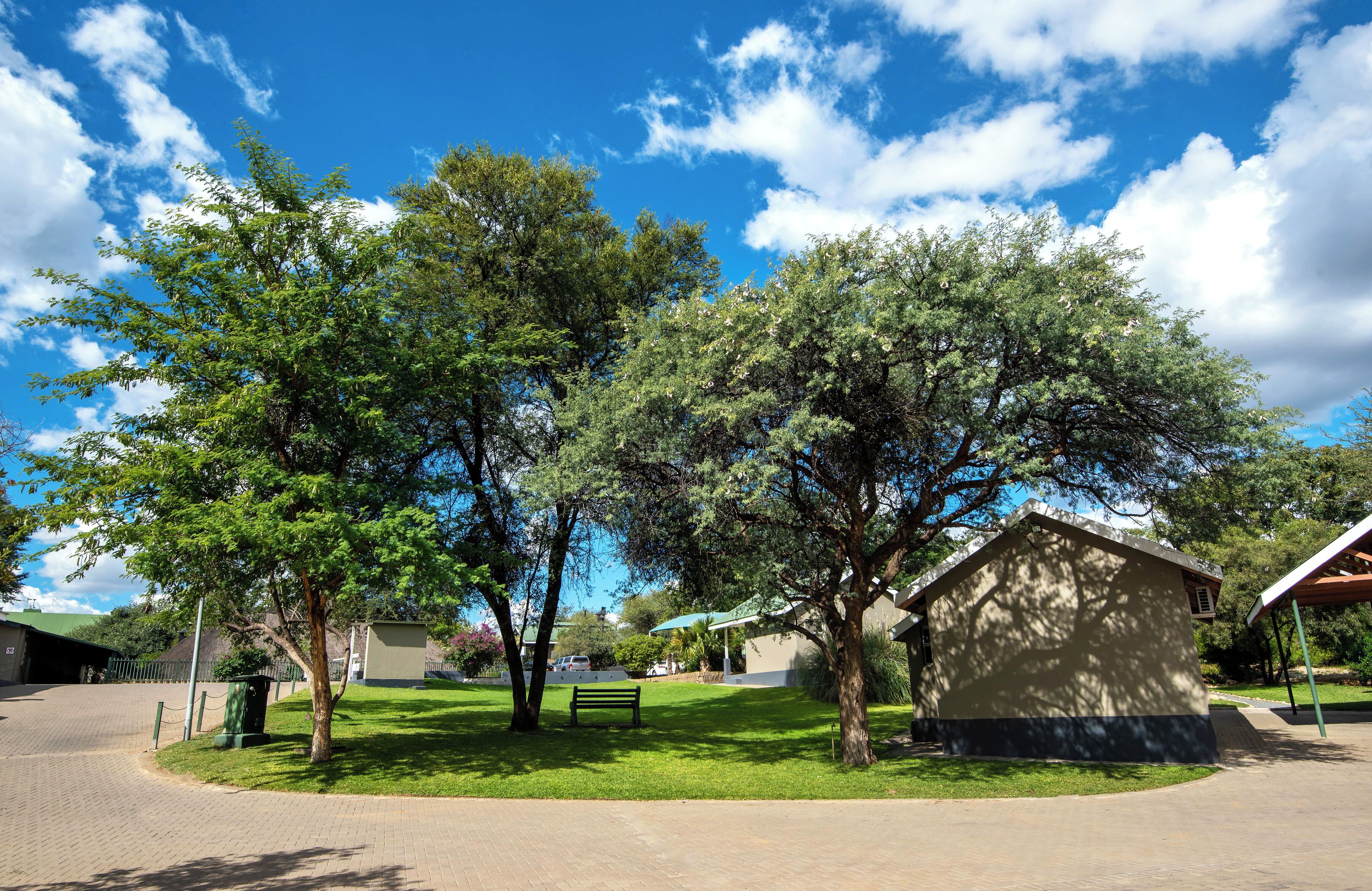 Luxury House, 3 Bedrooms, 2 Bathrooms, Garden Area | Pemandangan dari bilik