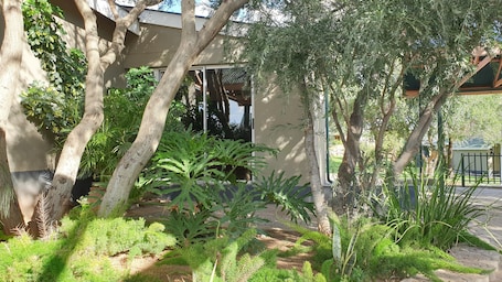 Luxury House, 2 Bedrooms, Kitchen, Garden Area | View from room. Arebbusch Travel Lodge
