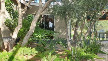 Luxury House, 2 Bedrooms, Kitchen, Garden Area | View from room