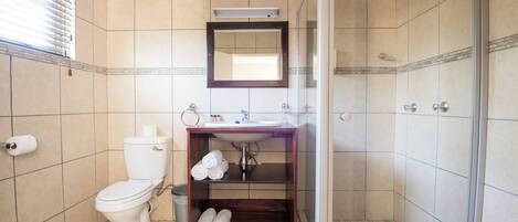 A bathroom with a toilet, sink, mirror, and shower.