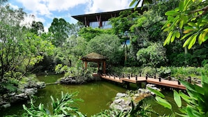 Un jardín tranquilo con un puente de madera sobre un estanque, rodeado de abundante vegetación y un edificio moderno al fondo.