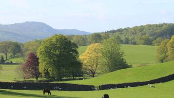 Vista desde la habitación