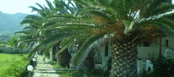 Meroi Studios