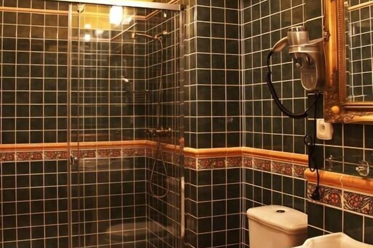 shower, designer toiletries, hair dryer, towels