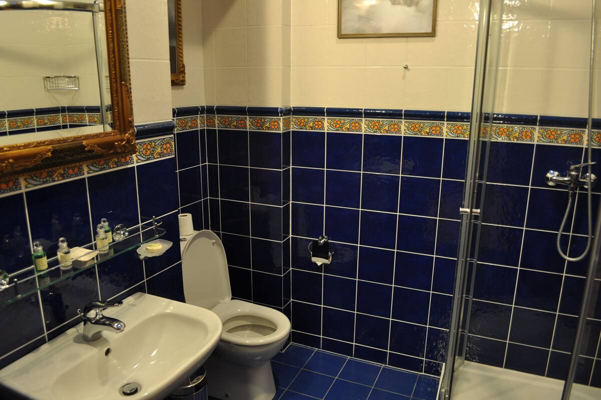 shower, designer toiletries, hair dryer, towels