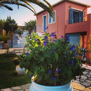 Room - Mira Resort (Lefkada)