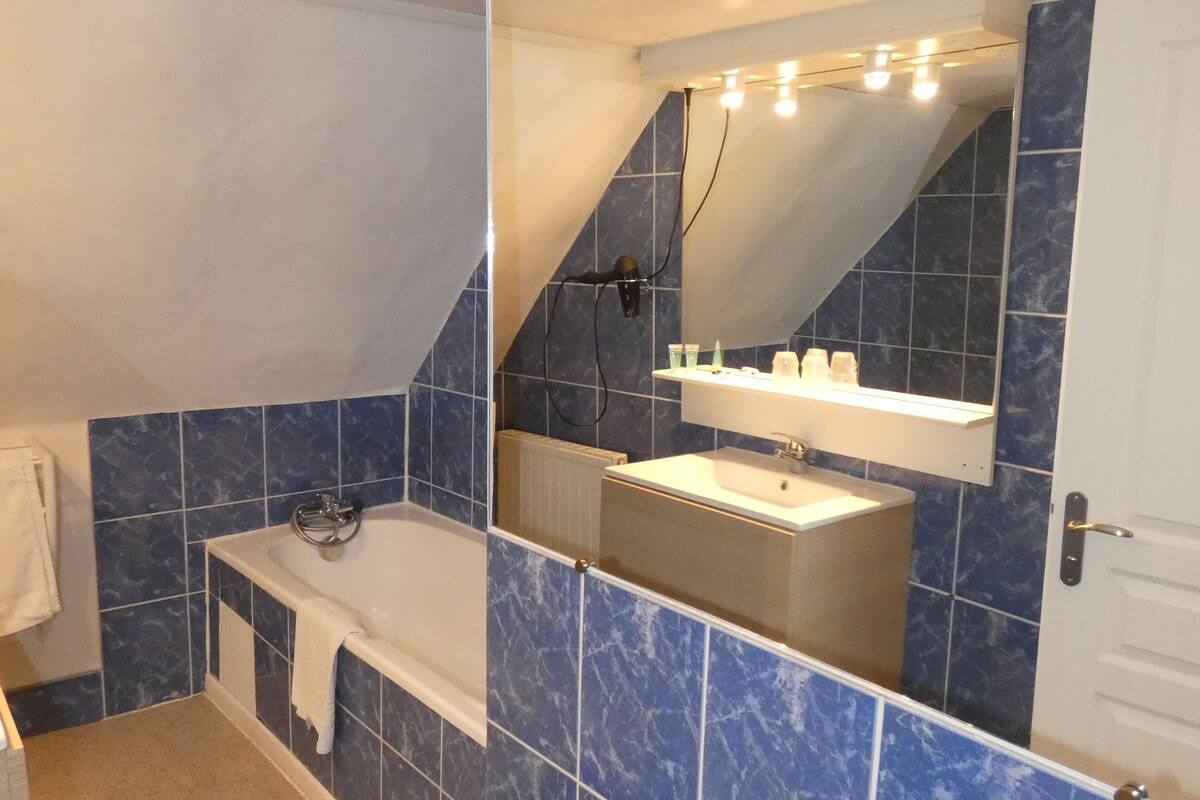 basic double room | bathroom | free toiletries, hair dryer, towels