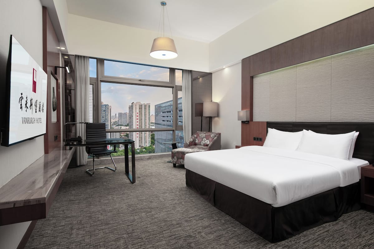 A hotel room with a large bed, a desk, a chair, a TV, and a view of the city.