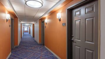 A hotel hallway with a blue patterned carpet, orange walls, and doors numbered 213.