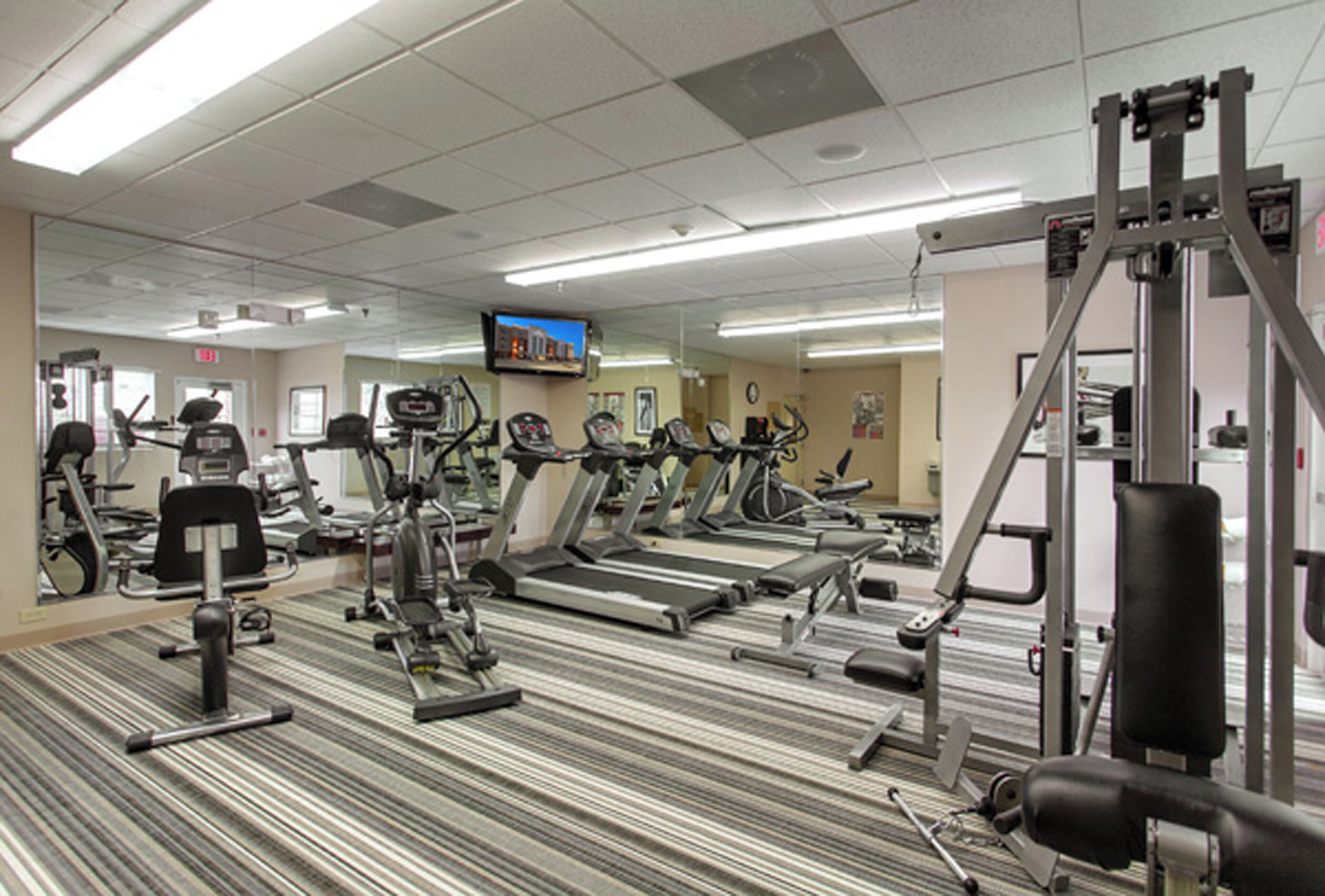A gym with treadmills, elliptical machines, and weightlifting equipment.