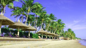 A beach with palm trees, lounge chairs, and thatched umbrellas. - MUINE SUN & SEA BEACH ( BOUTIQUE RESORT & GLAMPING) (Mui Ne)