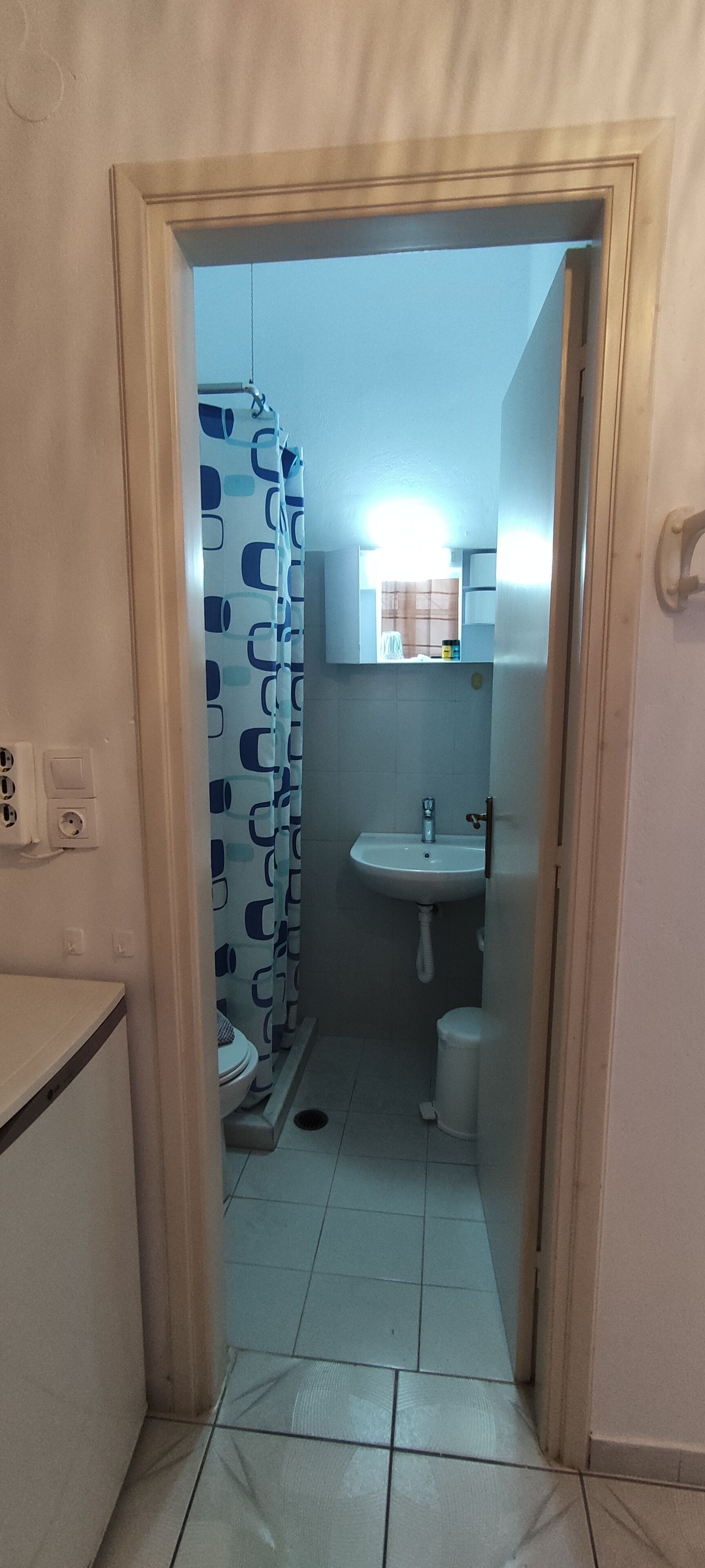 A narrow hallway leading to a bathroom with a shower curtain, sink, and toilet.