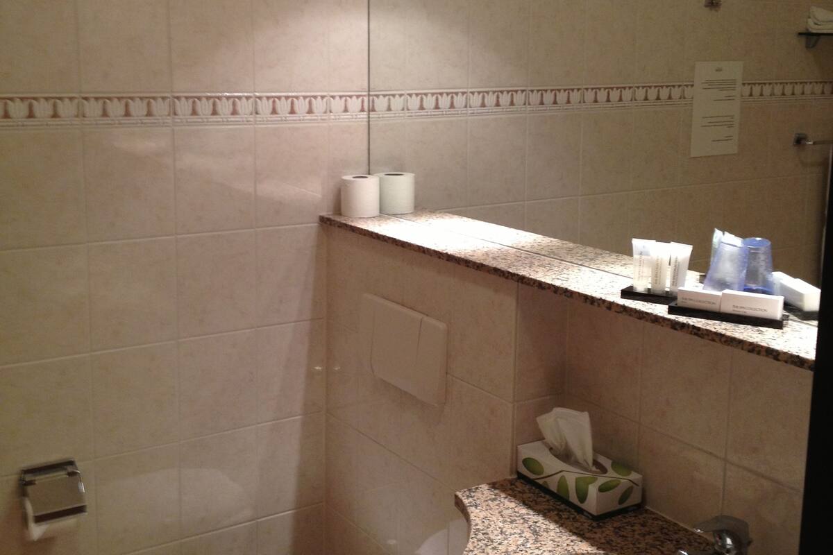 double room | bathroom | combined shower/bathtub, free toiletries, hair dryer, towels