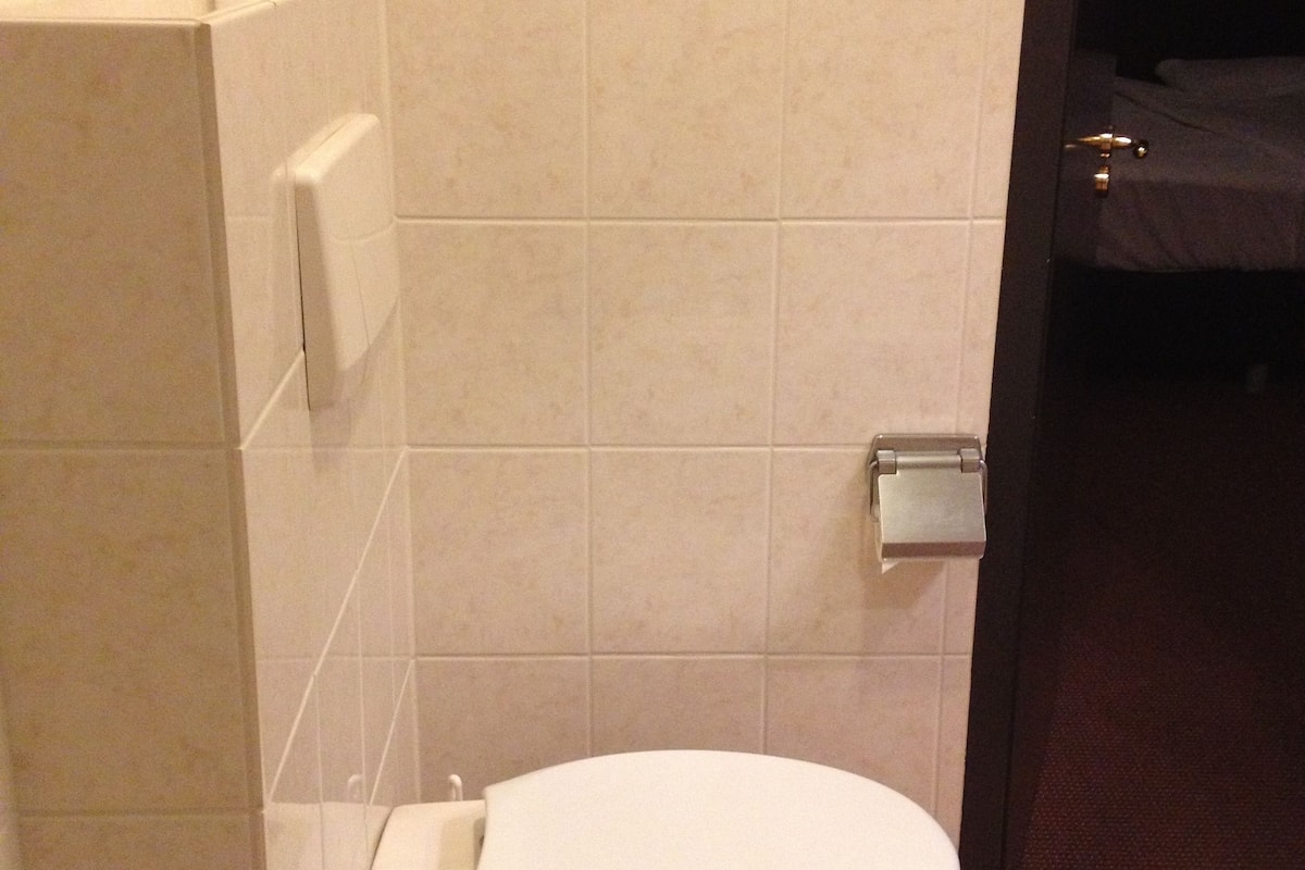 double room | bathroom | combined shower/bathtub, free toiletries, hair dryer, towels