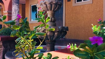 Terrain de l’hébergement