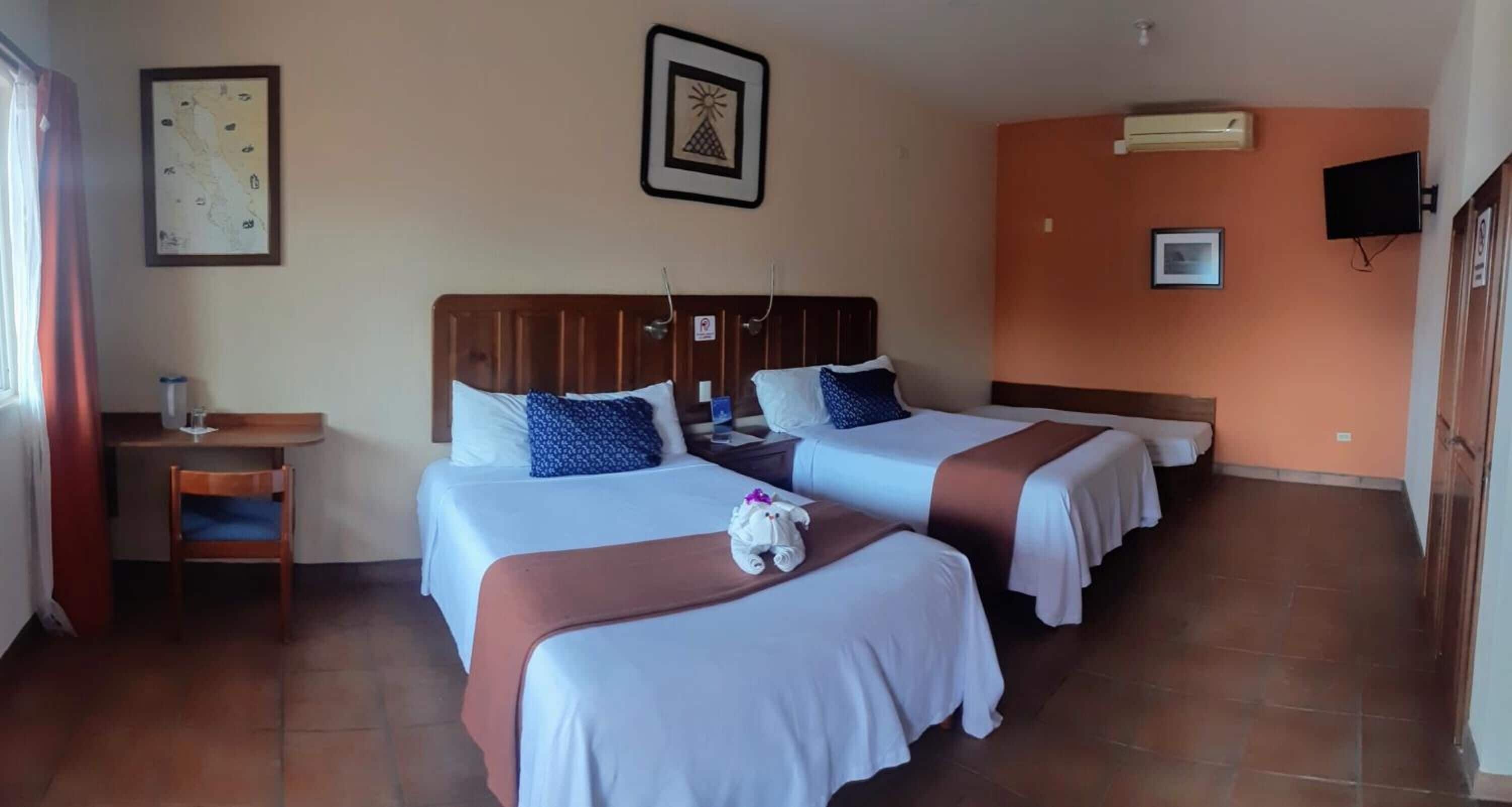 Masa, güneşlik/perde, ütü/ütü masası, ücretsiz kablosuz İnternet 