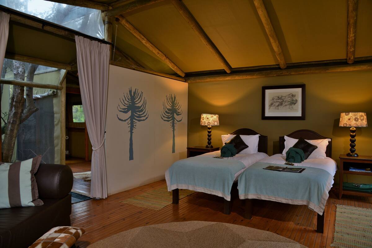 A bedroom with two beds, a wooden ceiling, and a window with curtains.