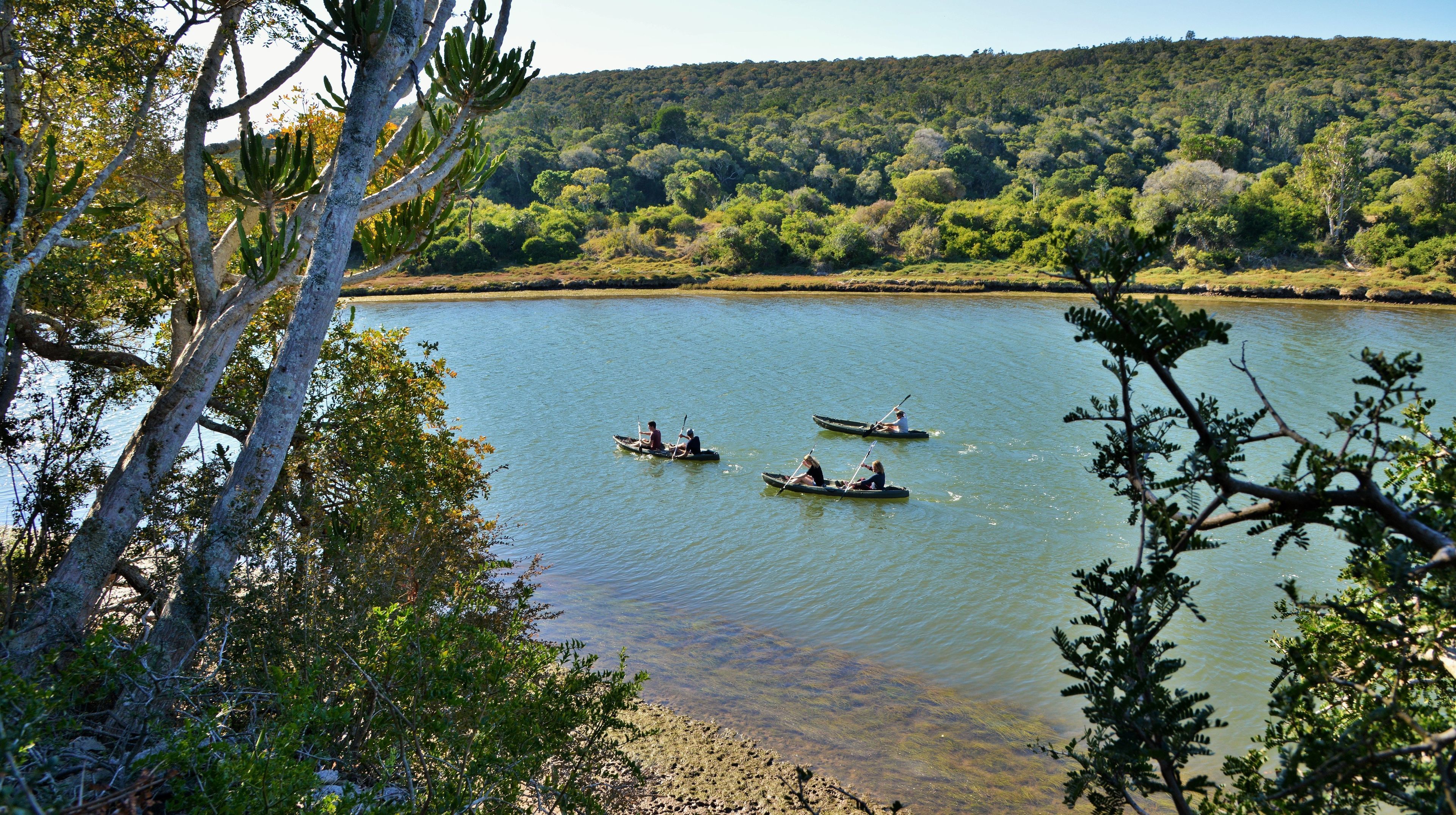 Un lago tranquilo con barcos y un bosque denso al fondo.