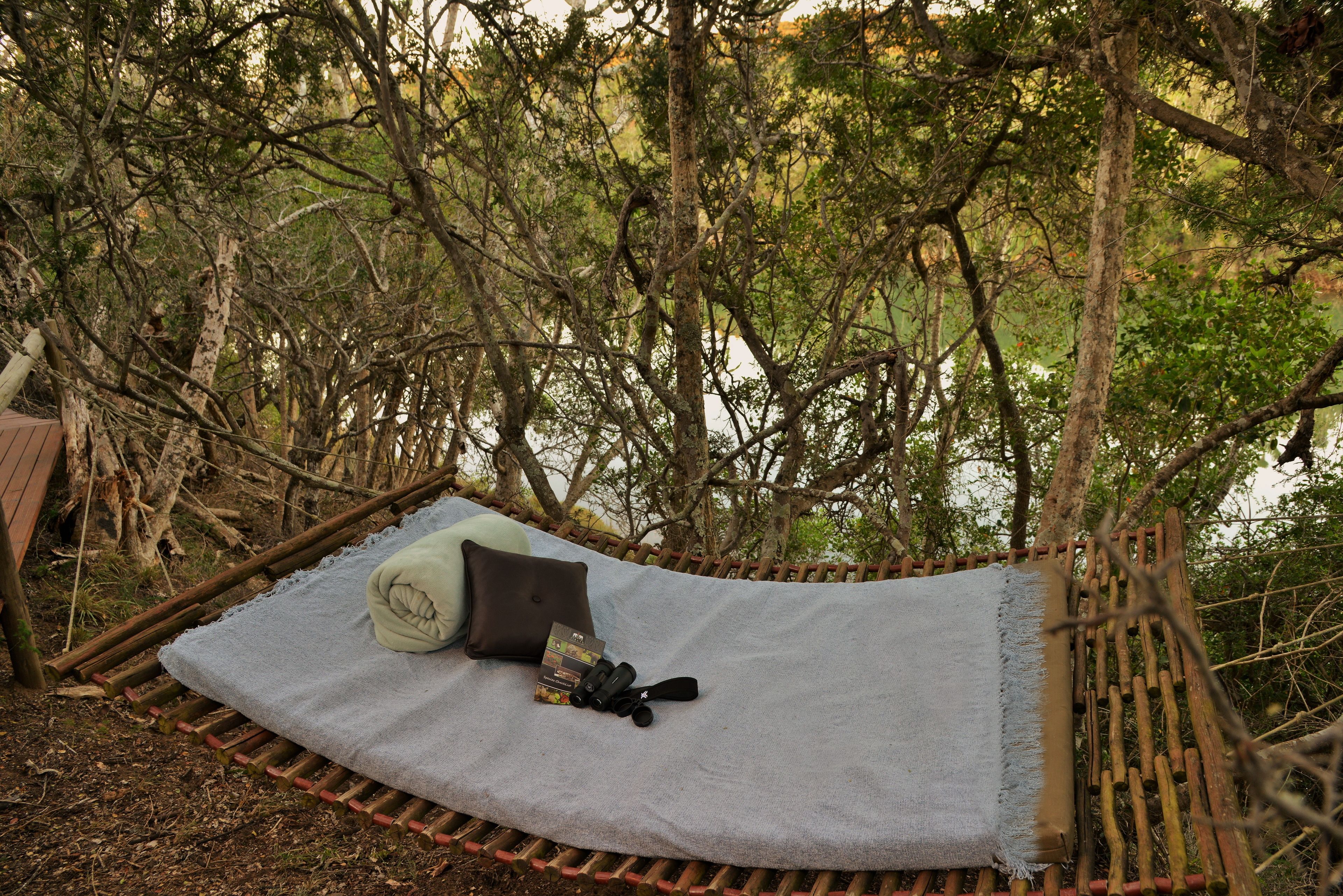 A hammock with a blanket and pillows, surrounded by trees.