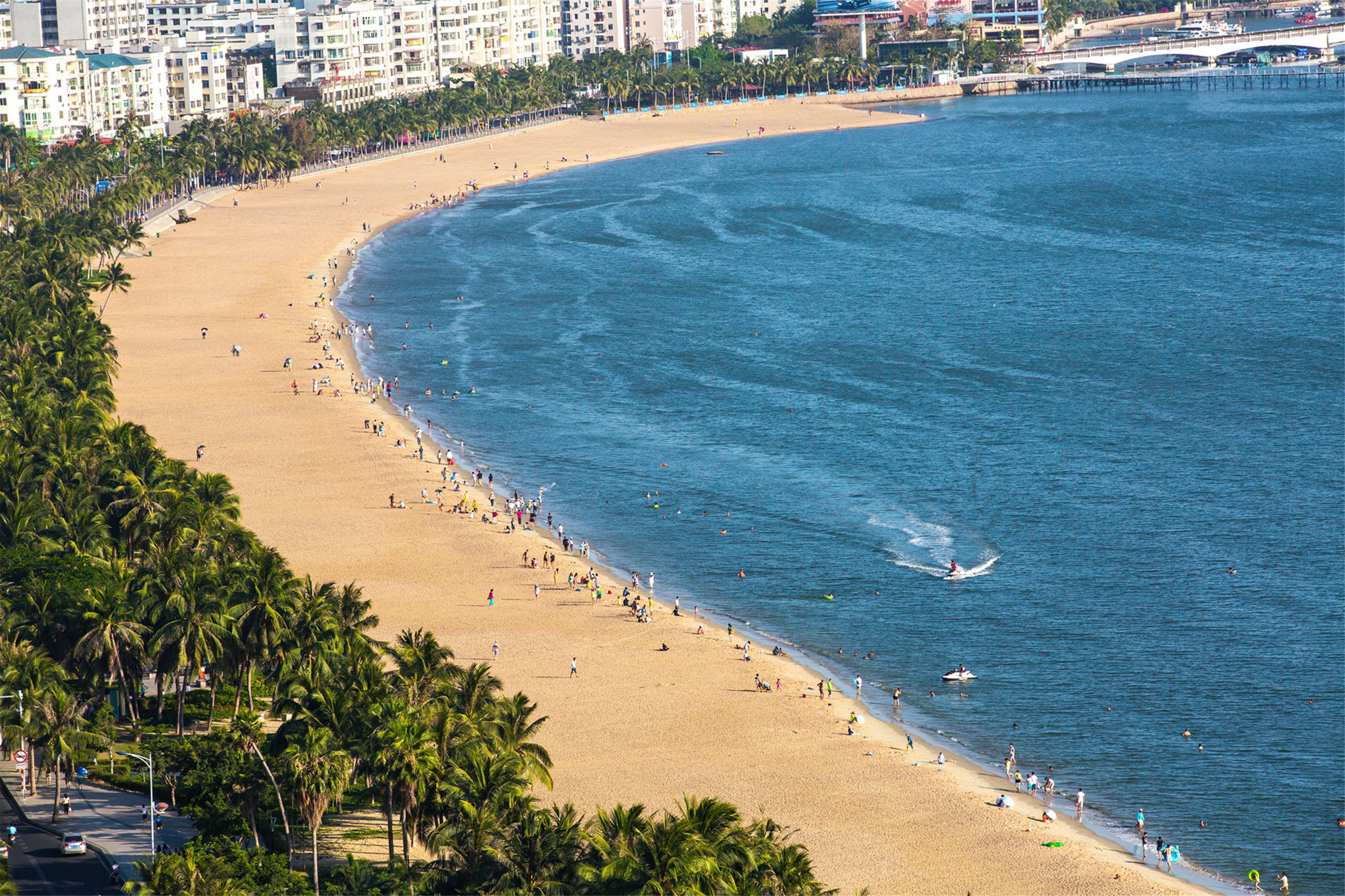 A beach with palm trees and a cityscape in the background.
