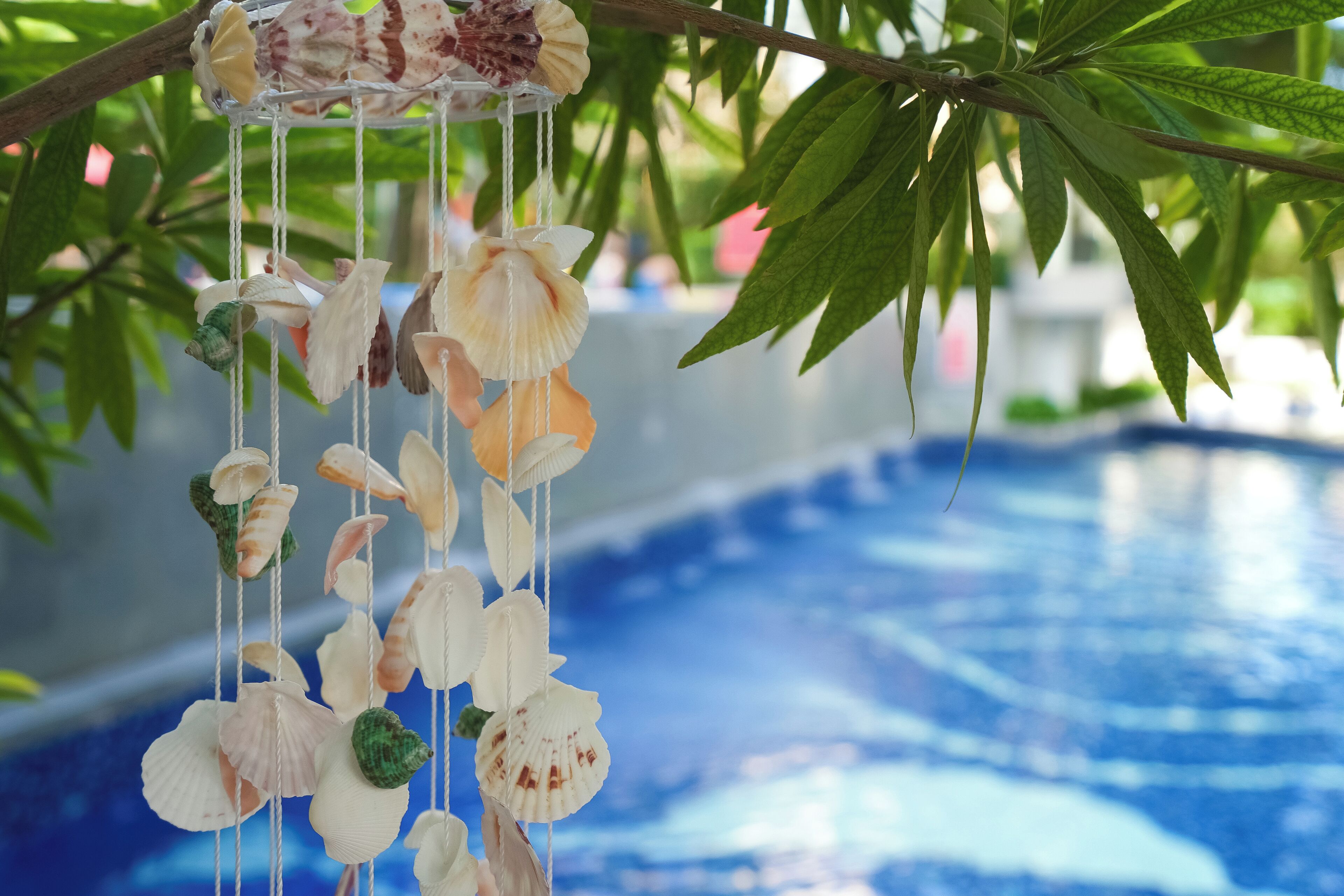 Adorno colgante con conchas marinas y flores, sobre un fondo borroso de piscina y follaje.